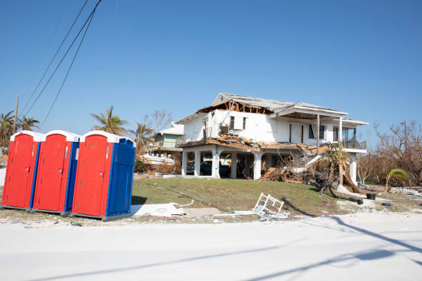 Best Stump Grinding and Removal  in Osseo, MN